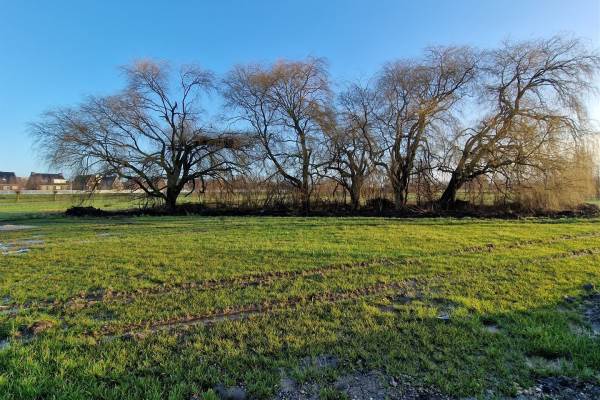 Bouwgrond Oude Leedeweg 5f Pijnacker