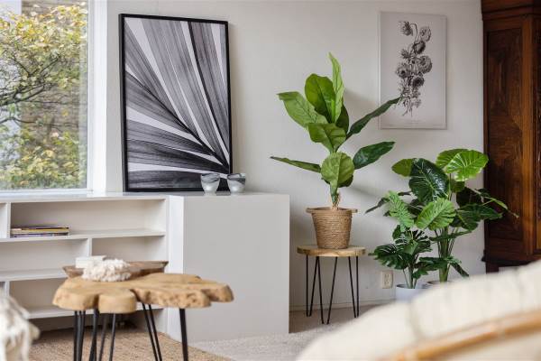 Woning Louise de Colignylaan 61 Rotterdam