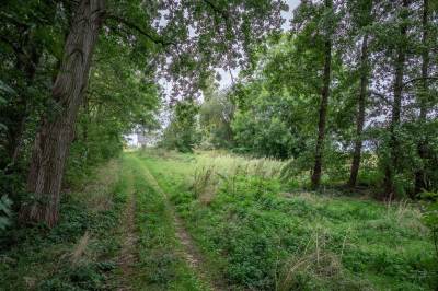 Bouwgrond Brusselseweg 621 Maastricht