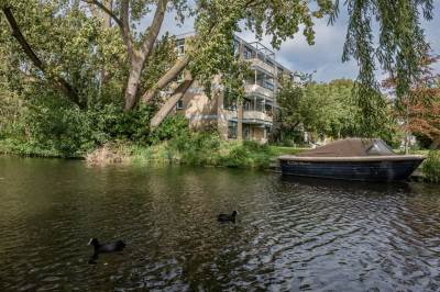 Woning Narcisplantsoen 135 Haarlem