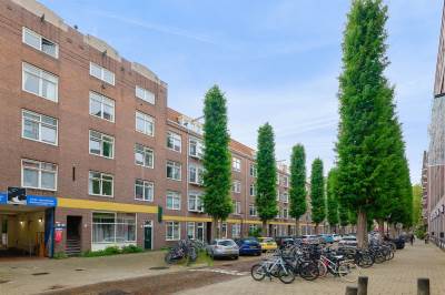 Woning Karel du Jardinstraat 723 Amsterdam