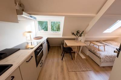 Woning H.J. Schimmelplein 356 Utrecht