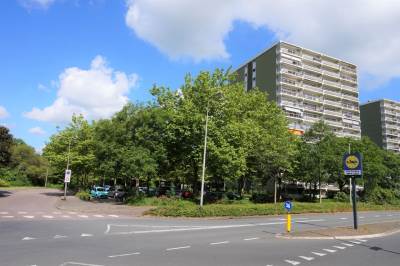 Woning De Roerdomp 162 Purmerend