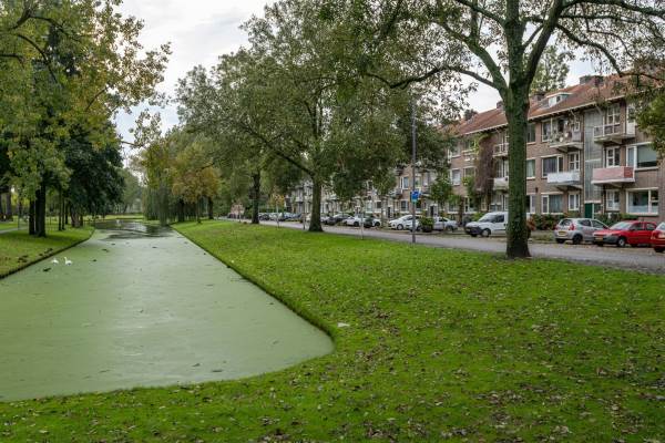 Woning Lepelaarsingel 139A Rotterdam