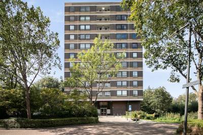 Woning Boerhaavestraat 269 Vlaardingen