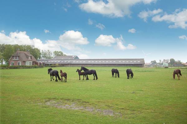 Woning Carl Fellingerweg 2a Makkum