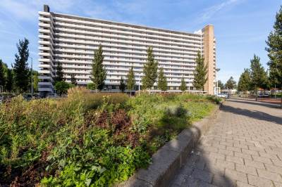 Woning Burgemeester Hogguerstraat 1053 Amsterdam