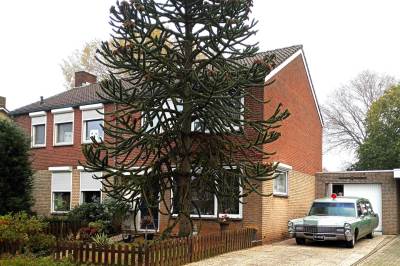 Woning Helmissenstraat 26 Broekhuizen (LI)