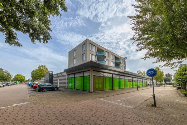 Woning Dr. H.B. Wiardi Beckmanplein 301 Gorinchem
