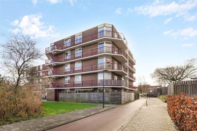 Woning Pluimgras 11 Leiden