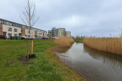 Woning Gletsjermeer 11 Houten