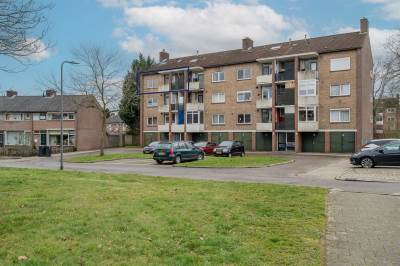 Woning Vogelplantsoen 192 Dieren