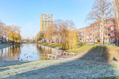 Woning Wielewaalplein 244 Groningen