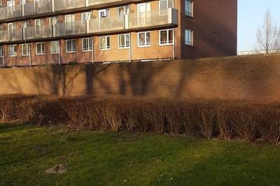 Woning Evertsweertplantsoen 22 Amsterdam