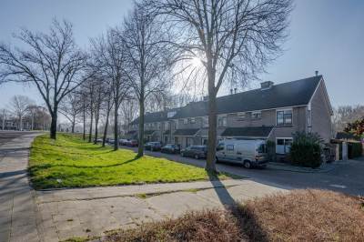 Woning Van Lieshoutstraat 14 Rotterdam
