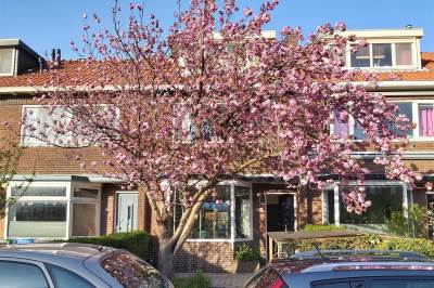 Woning Torenlaan 11 Rotterdam