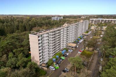 Woning Anna Paulownalaan 111 Zeist