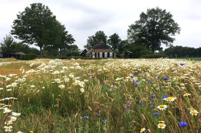 Woning Broekdijk 16 Ansen (Gem. De Wolden)