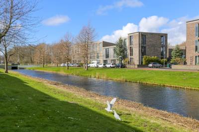 Woning Scholekstersingel 66 Den Haag