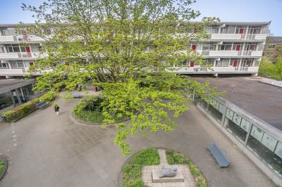 Woning Hellenburg 19 Amsterdam