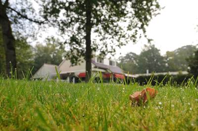 Woning Treeswijklaan 8 Waalre
