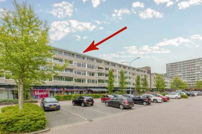 Woning Van Ostadelaan 446 Alkmaar