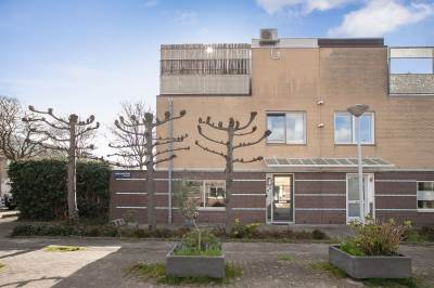 Woning Dwergvinvisstraat 41 Amsterdam