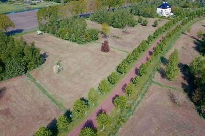 Bouwgrond Zuiderboslaan 42 Dedemsvaart