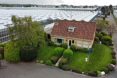 Woning Alsemgeestlaan 14 's-Gravenzande