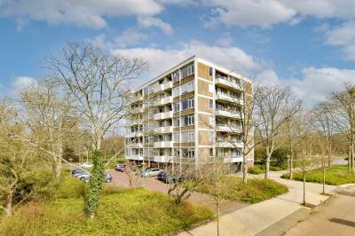 Woning Van Boshuizenstraat 39 Amsterdam