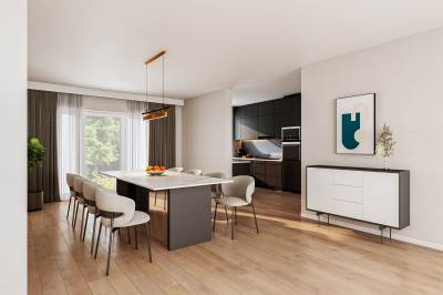 Woning Van Aerssenstraat 253 Den Haag