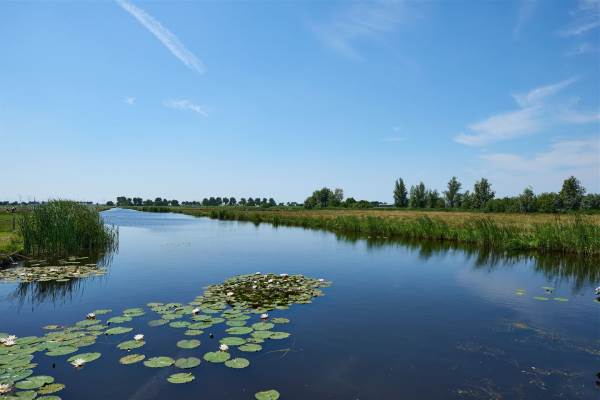 Woning J.J. Allanstraat 329 Westzaan