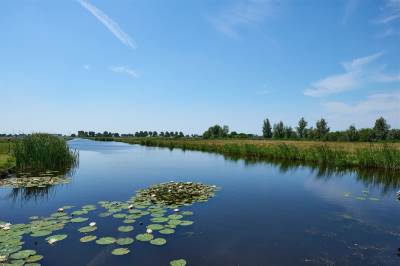 Woning J.J. Allanstraat 329 Westzaan