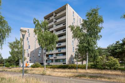 Woning Zandbloem 79 Eindhoven