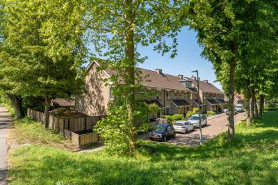 Woning Van Lieshoutstraat 10 Rotterdam