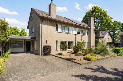 Woning Steltlopen 20 Best