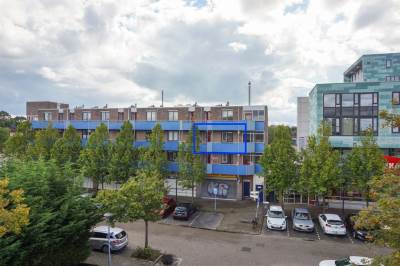 Woning Korenbloem 96 Zwaag