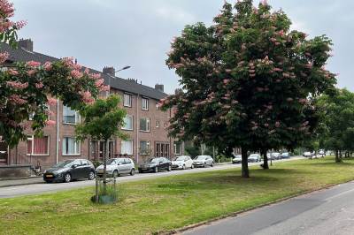 Woning Peter Huyssenslaan 39 Maastricht