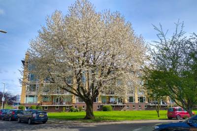Woning Tolsteegplantsoen 45 Utrecht