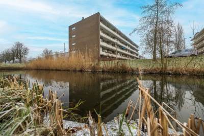 Woning Van Borselenstraat 10 Arnhem