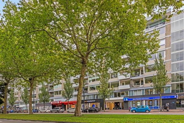 Woning Johan de Wittstraat 216 Dordrecht