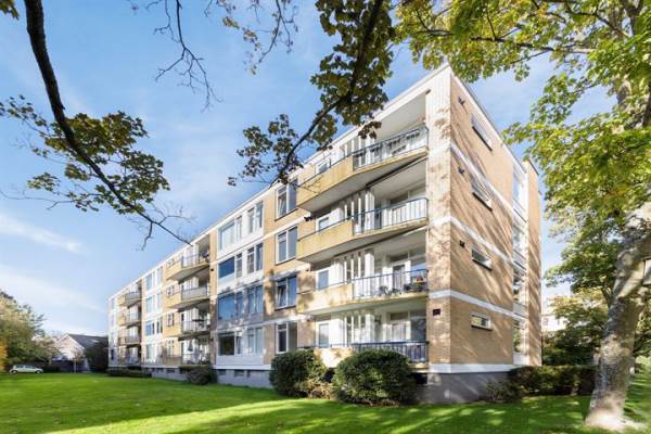 Woning Van Ostadelaan 52 Alkmaar