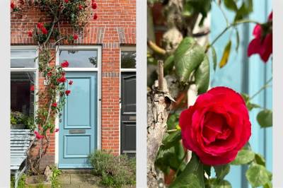 Woning Van der Helststraat 18 Utrecht