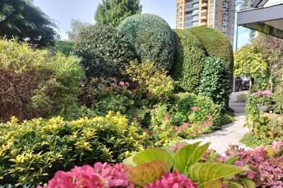 Woning Bertha von Suttnerstraat 7 Rijswijk (ZH)