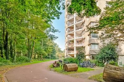 Woning Gouden Leeuw 822 Amsterdam