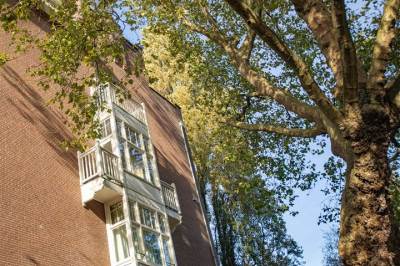 Woning Koninginneweg 130- 2A Amsterdam