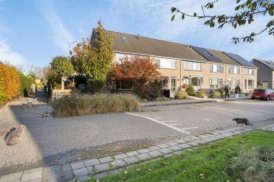 Woning Penningkruid 59 Sneek
