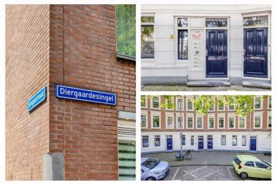 Woning Diergaardesingel 35 Rotterdam