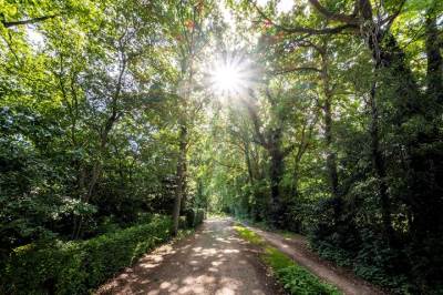 Woning Jagerspad 49 Laren (NH)