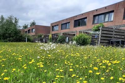 Woning Duinvoet 70 Lelystad